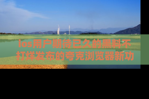 ios用户期待已久的黑料不打烊发布的夸克浏览器新功能上线啦!
