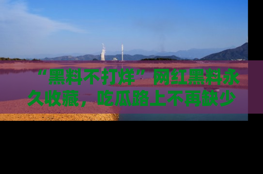 “黑料不打烊”网红黑料永久收藏，吃瓜路上不再缺少惊喜与乐趣