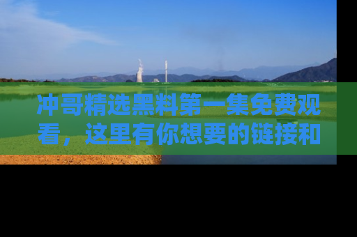 冲哥精选黑料第一集免费观看，这里有你想要的链接和内幕！