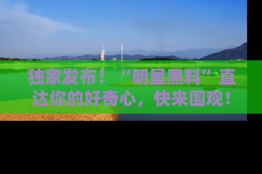 独家发布！“明星黑料”直达你的好奇心，快来围观！