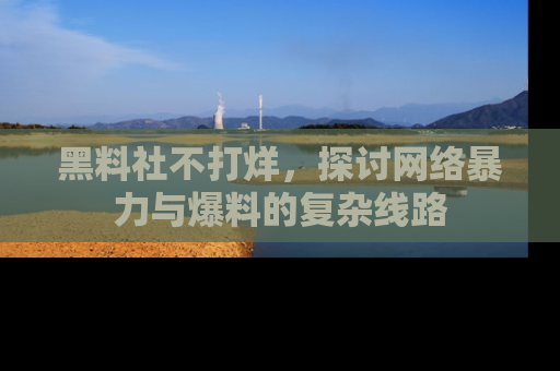 黑料社不打烊，探讨网络暴力与爆料的复杂线路