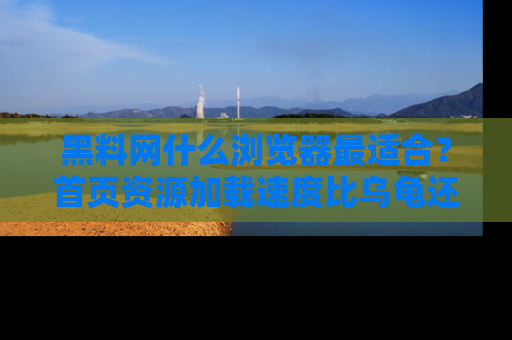 黑料网什么浏览器最适合？首页资源加载速度比乌龟还慢的体验真心吐槽！