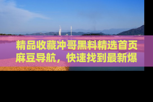 精品收藏冲哥黑料精选首页麻豆导航，快速找到最新爆料