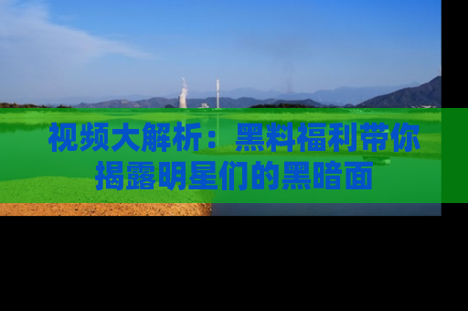 视频大解析：黑料福利带你揭露明星们的黑暗面
