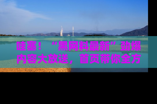 哇塞!“黑网料最新”劲爆内容大放送,首页带你全方位了解哦,小可爱们