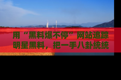 用“黑料爆不停”网站追踪明星黑料，把一手八卦统统收进你的后宫中！
