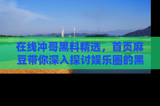 在线冲哥黑料精选，首页麻豆带你深入探讨娱乐圈的黑暗面