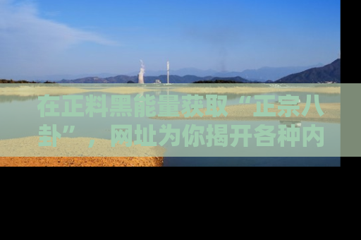在正料黑能量获取“正宗八卦”,网址为你揭开各种内幕故事!