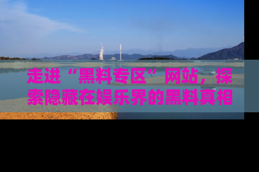 走进“黑料专区”网站,探索隐藏在娱乐界的黑料真相