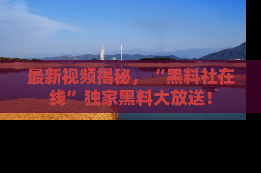 最新视频揭秘,“黑料社在线”独家黑料大放送!